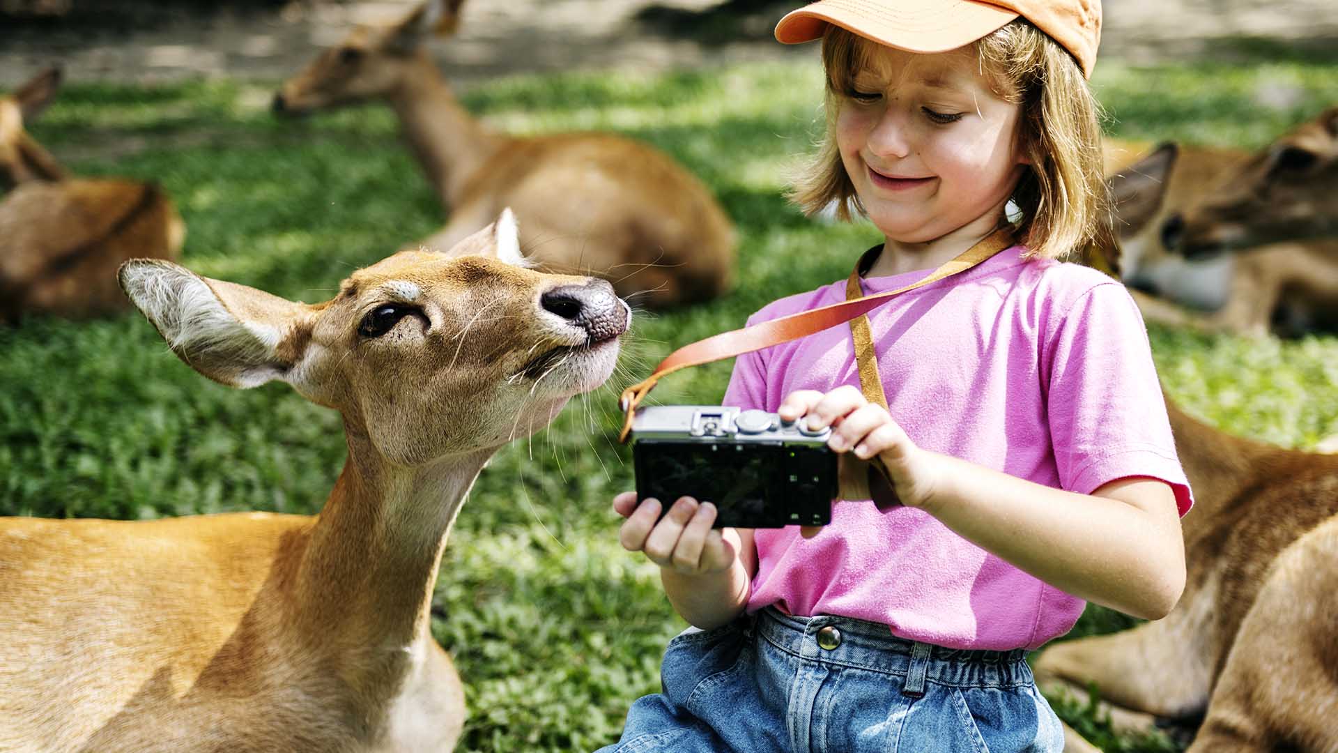 Agglo : une grande foire agricole au Parc des Îles