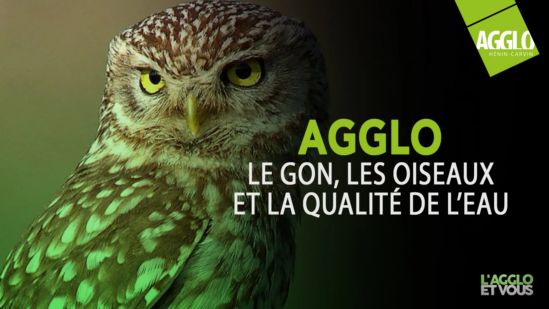 Agglo : Le Gon, les oiseaux et la qualité de l’eau