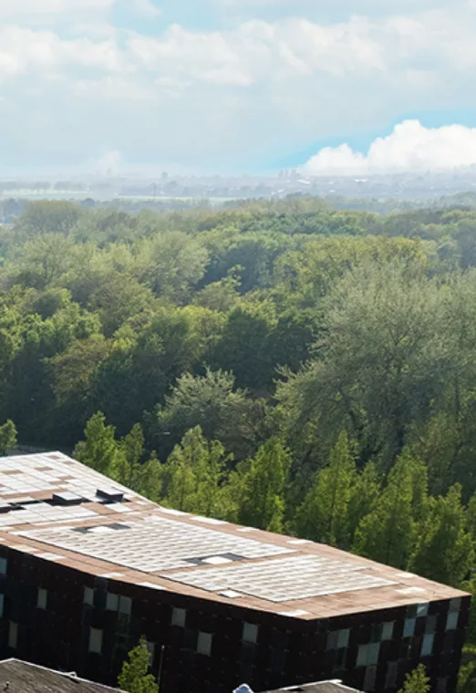 base caroussel_Plan de travail 1 copie 3