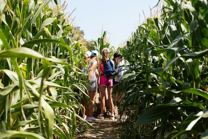 Mission Carv’impossible, au coeur du Labyrinthe de Carvin !