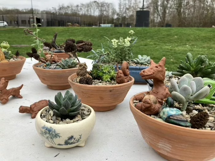 Création d’un micro-jardin